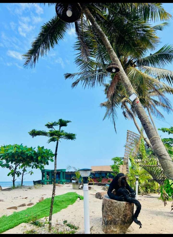 Alivious Beach Homestay Alappuzha Esterno foto